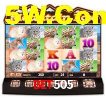 Explore as vantagens do Bet505: serviço profissional e confiabilidade